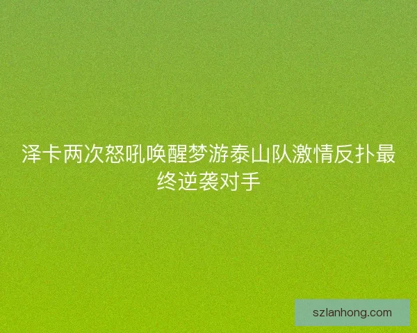 泽卡两次怒吼唤醒梦游泰山队激情反扑最终逆袭对手