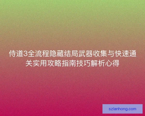 侍道3全流程隐藏结局武器收集与快速通关实用攻略指南技巧解析心得